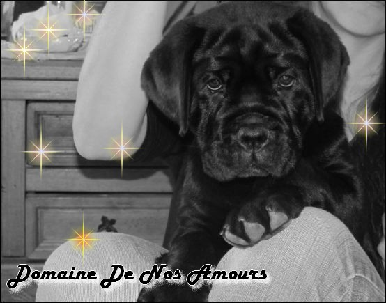 Heros Du Domaine De Nos Amours