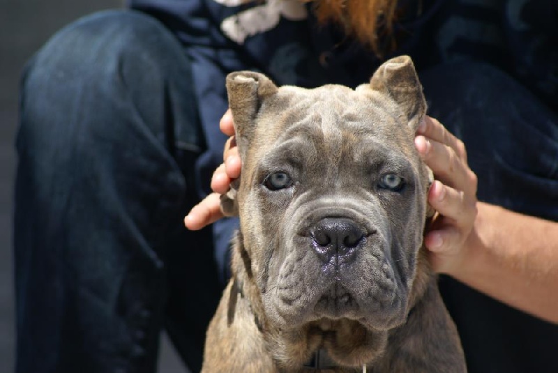 Hermes Du Domaine De Nos Amours